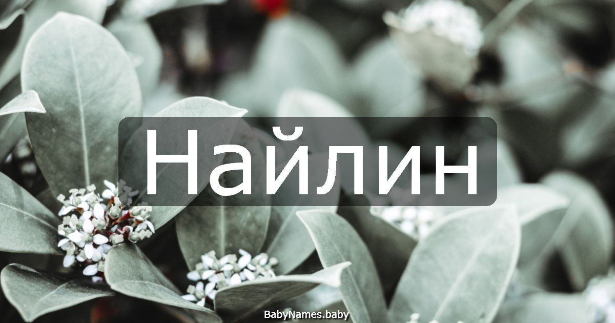 Найлин