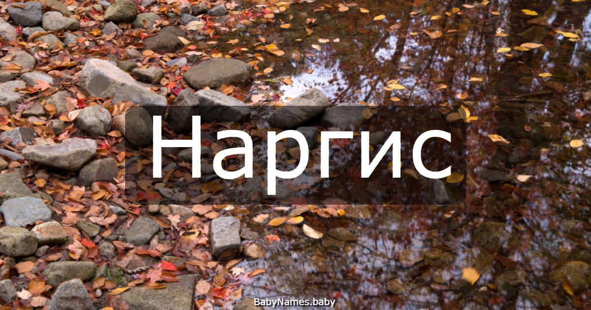 Наргис