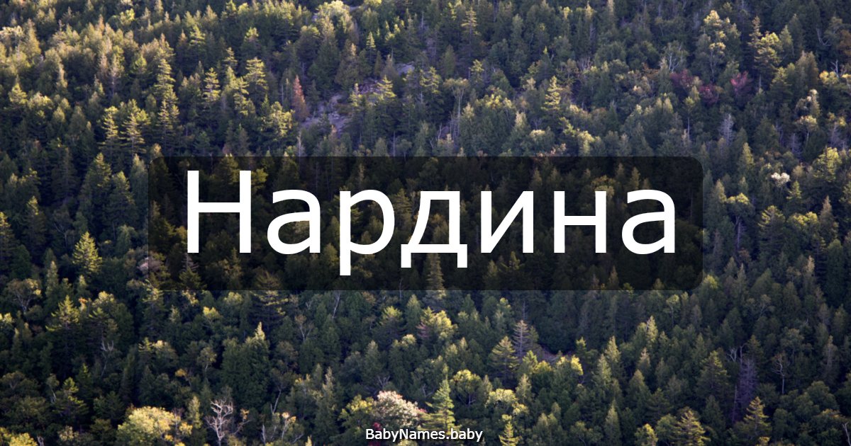 Нардина