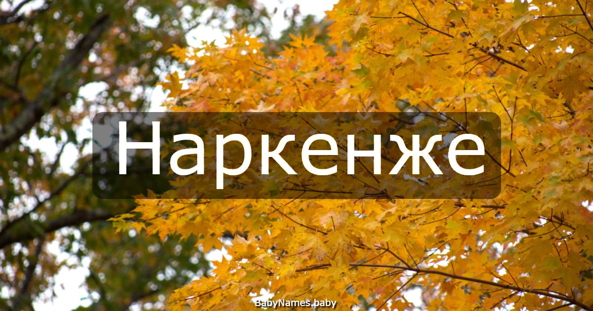 Наркенже