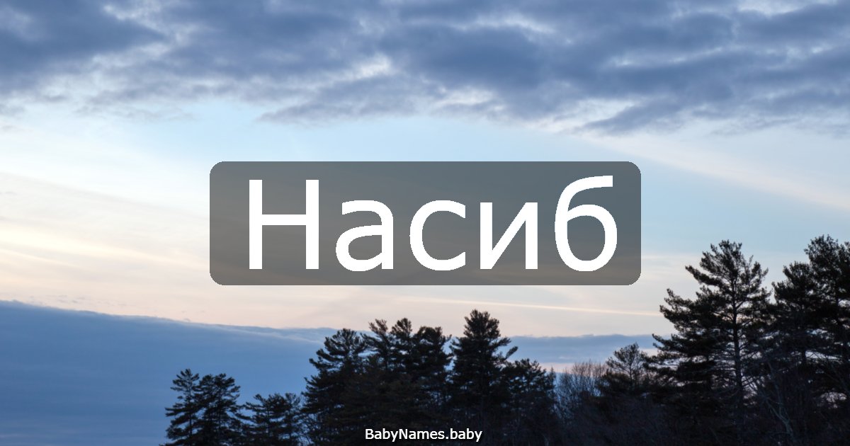 Насиб