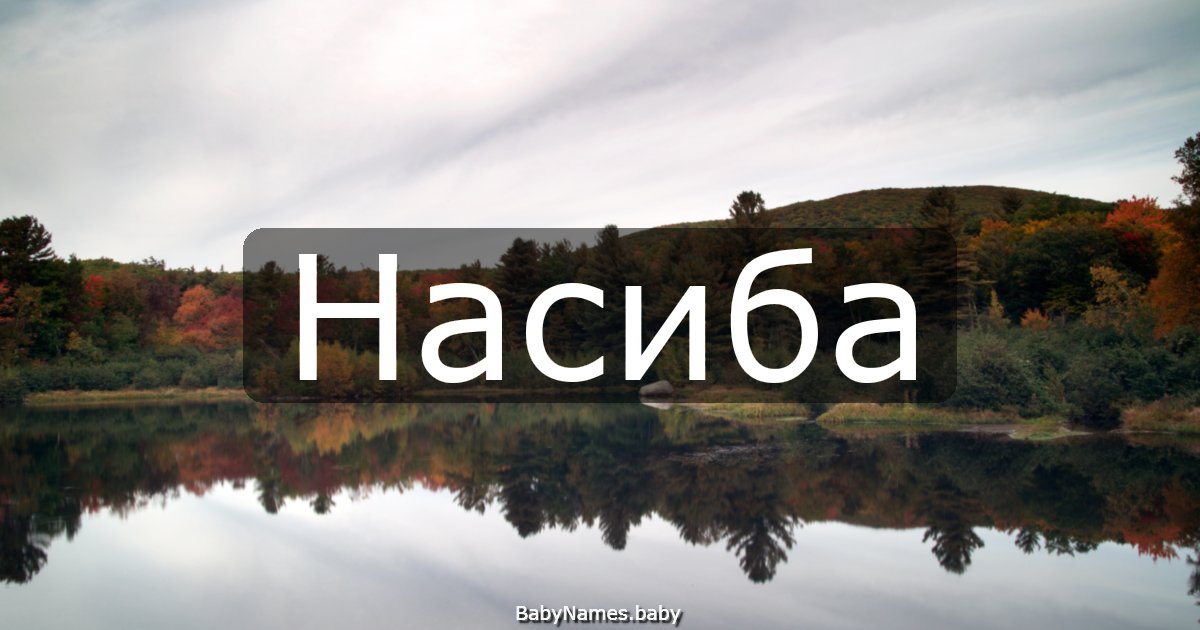 Насиба