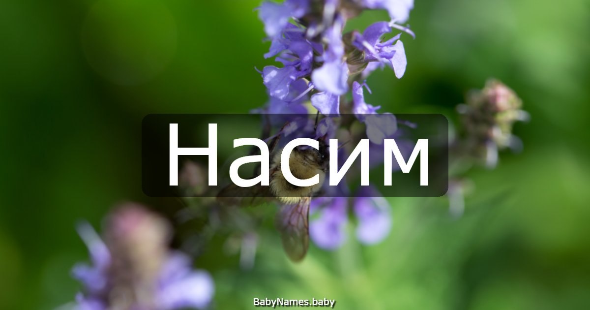 Насим