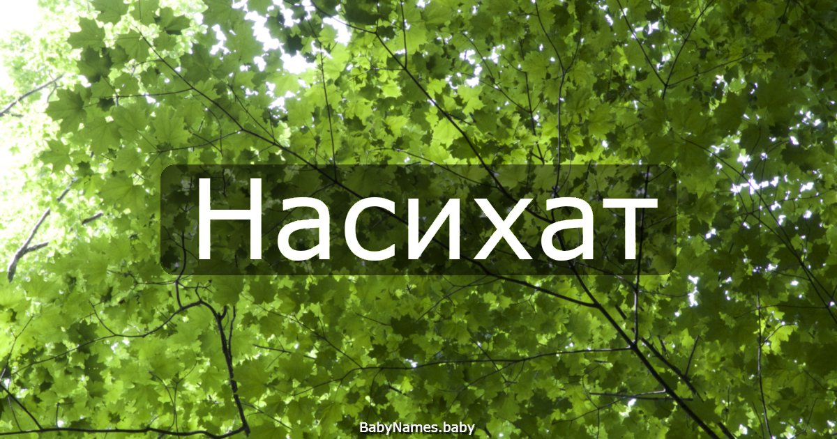 Насихат
