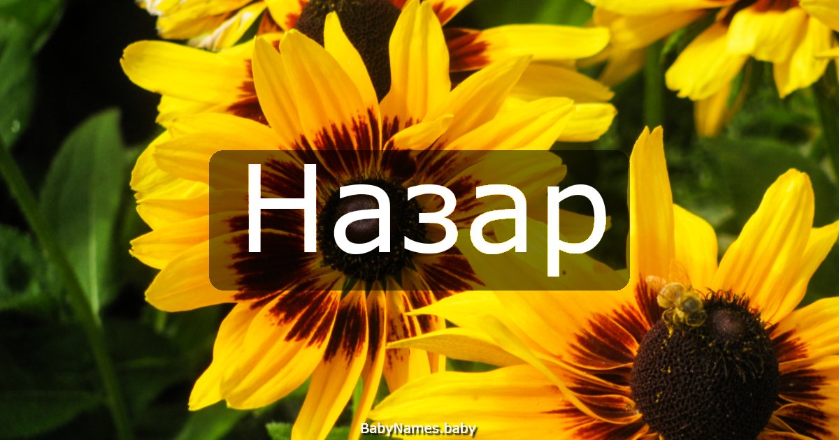 Назар