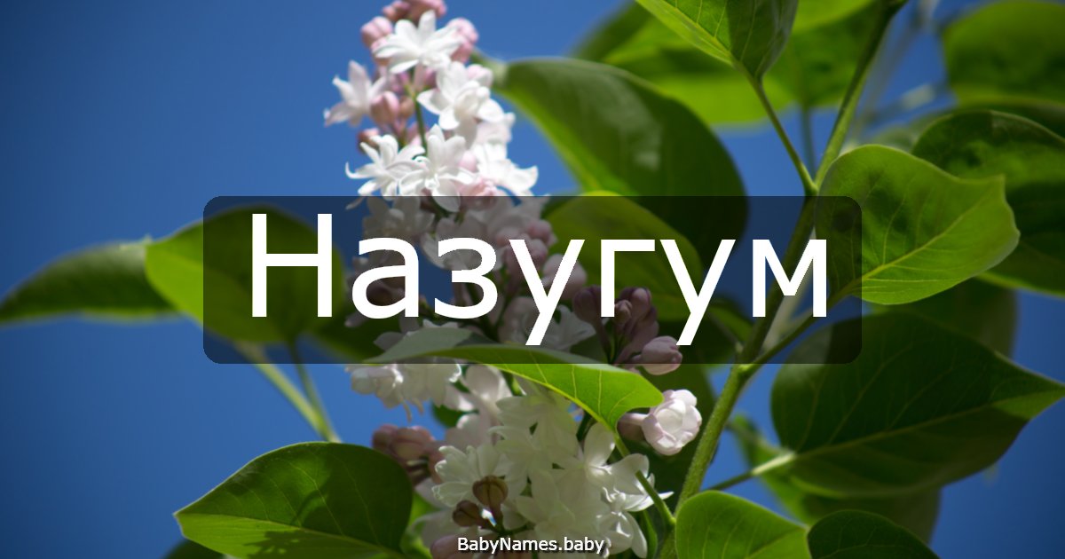 Назугум