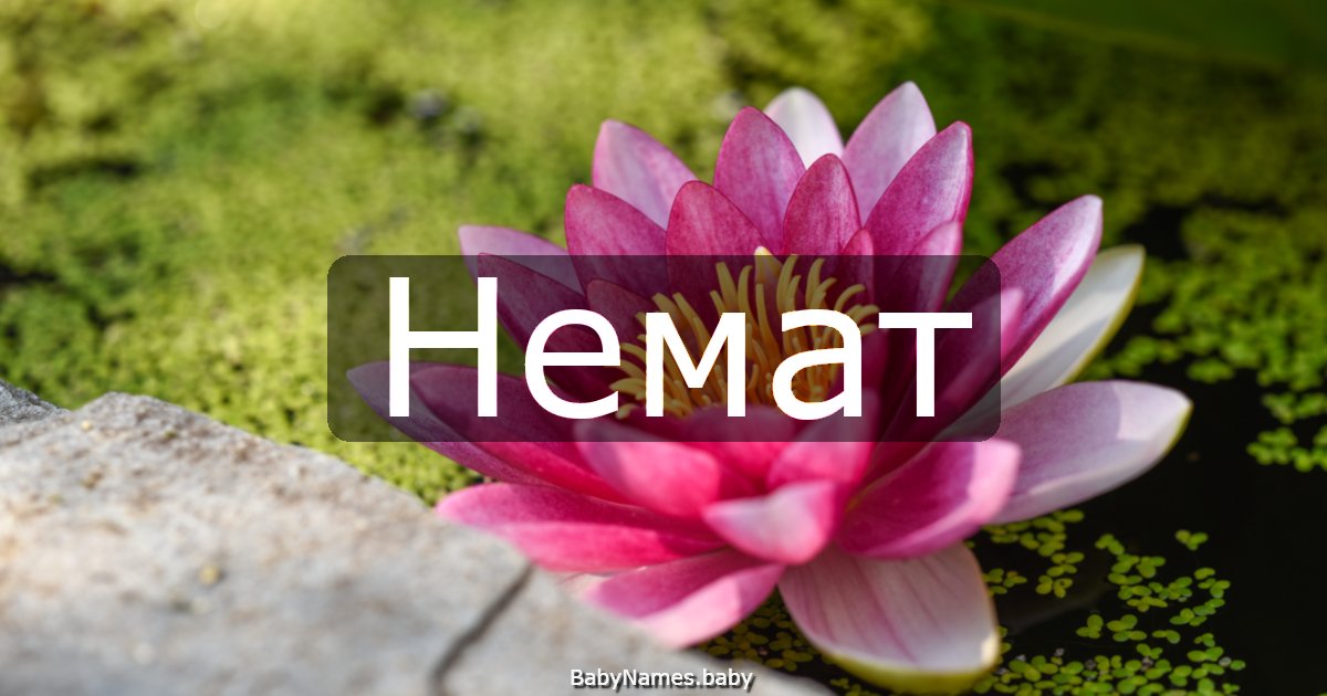 Немат