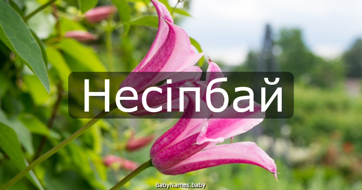 Несіпбай