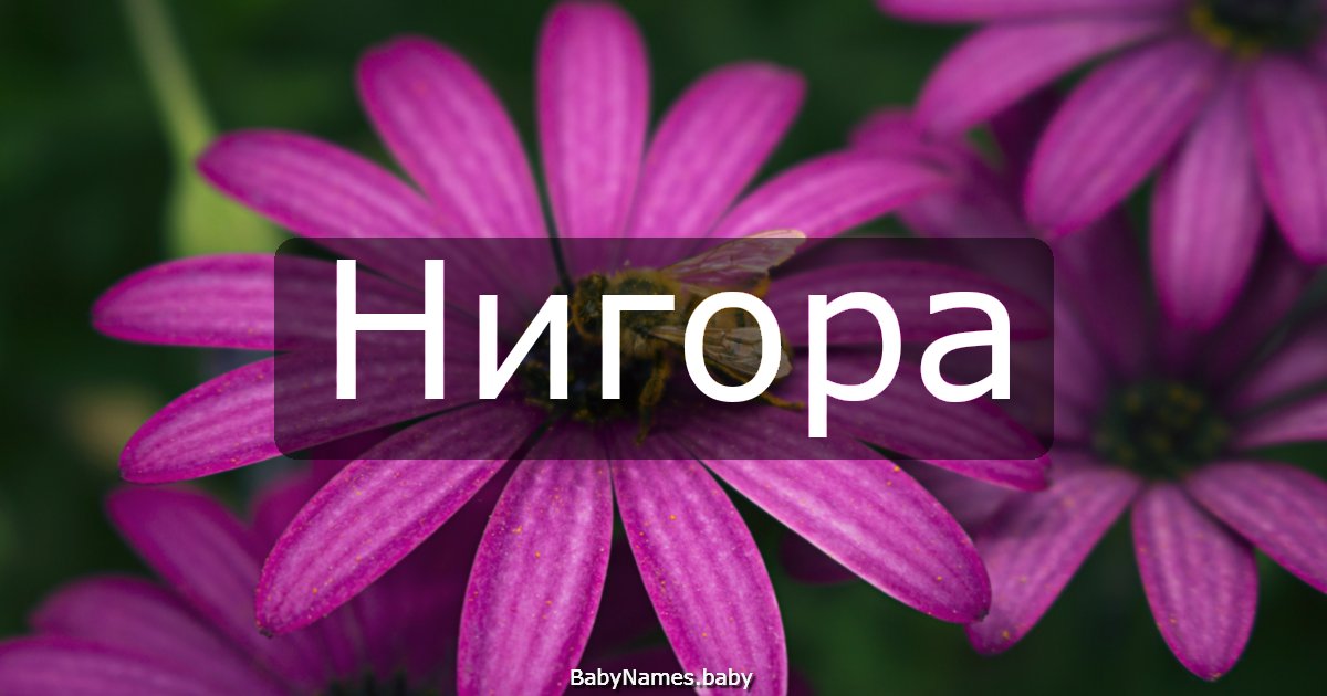 Нигора