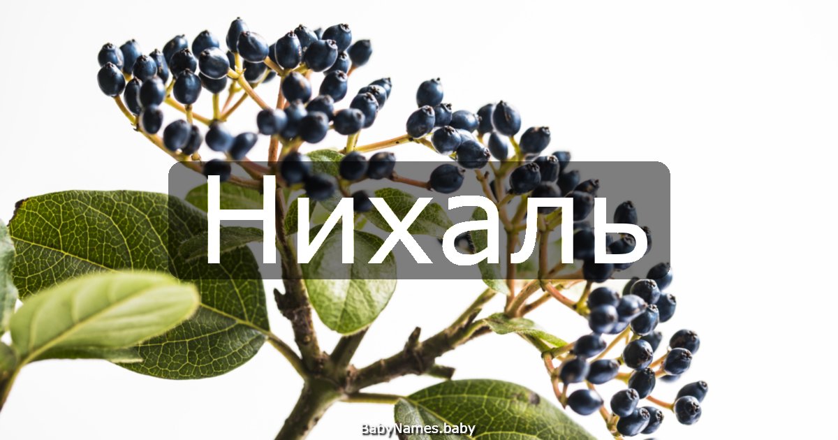 Нихаль