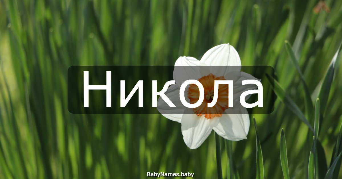 Никола