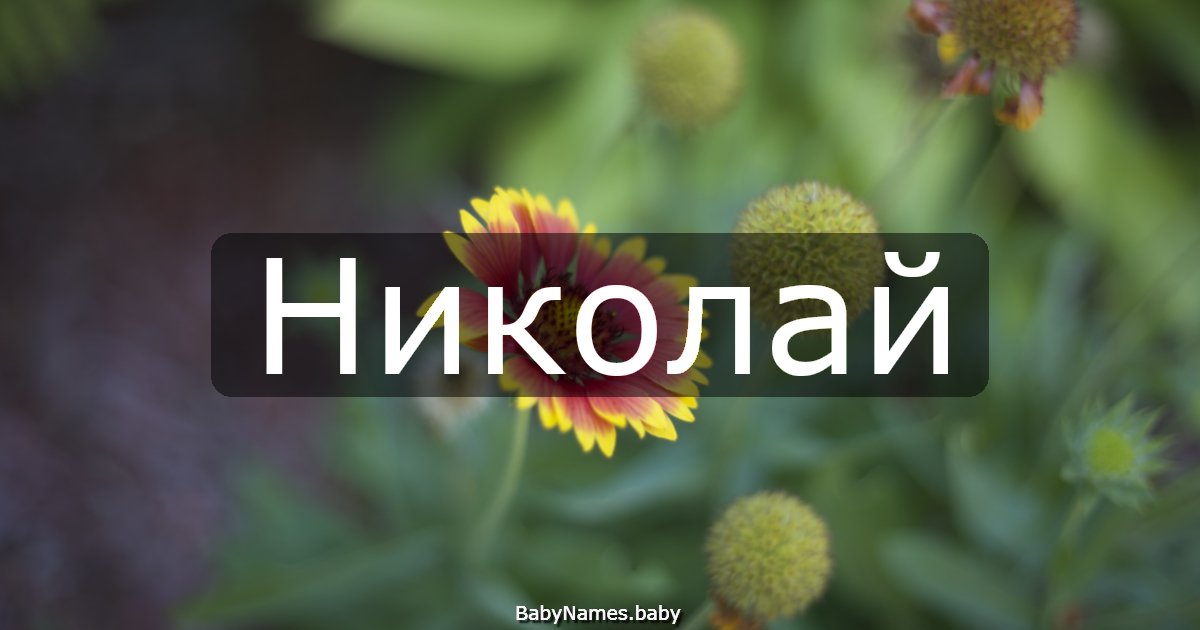 Николай