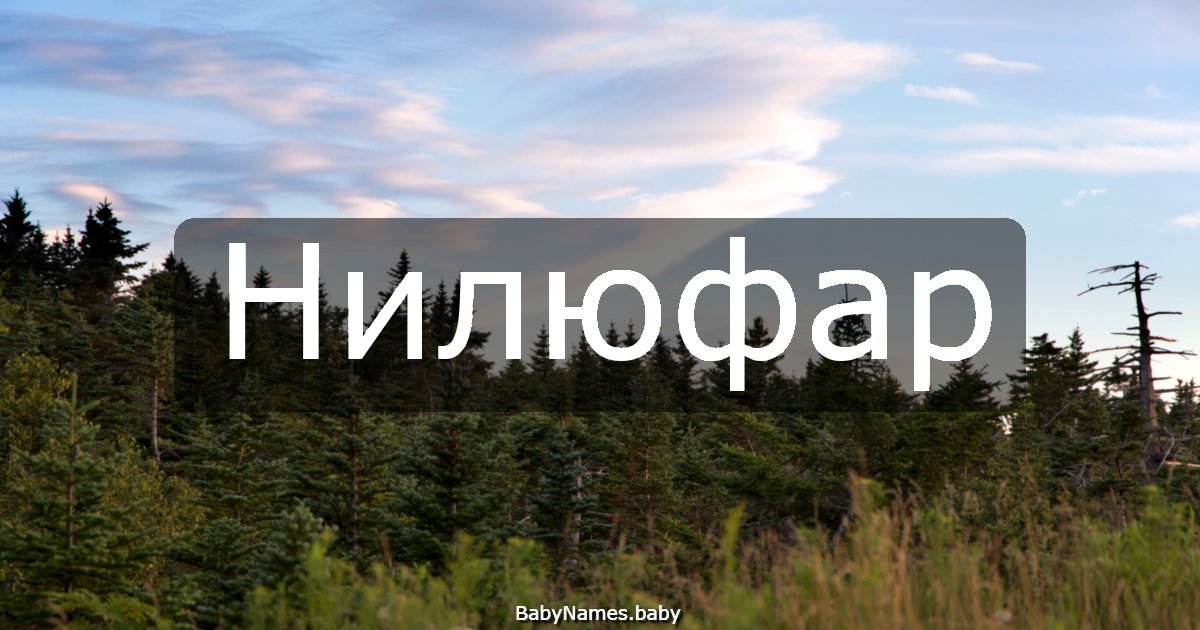 Нилюфар