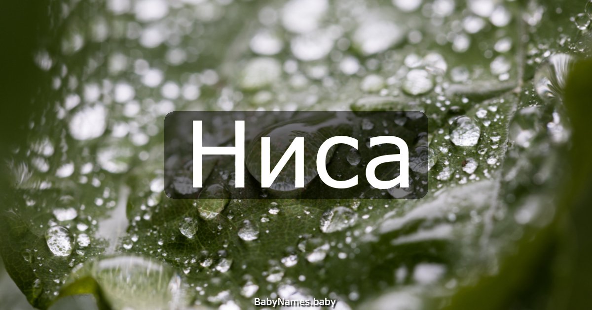 Ниса