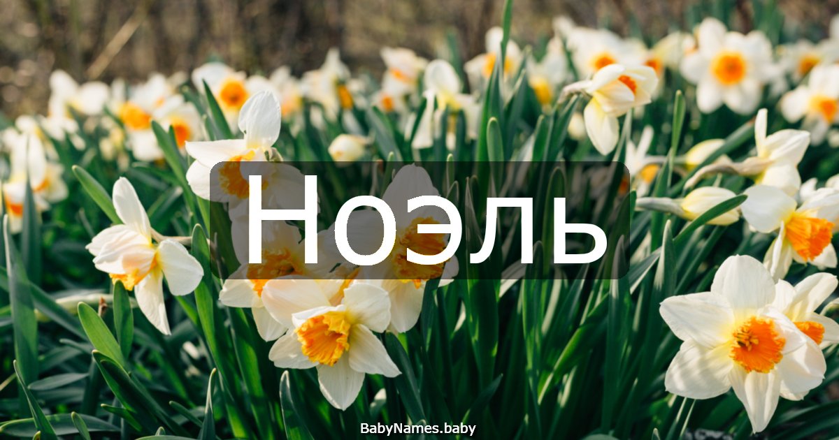 Ноэль