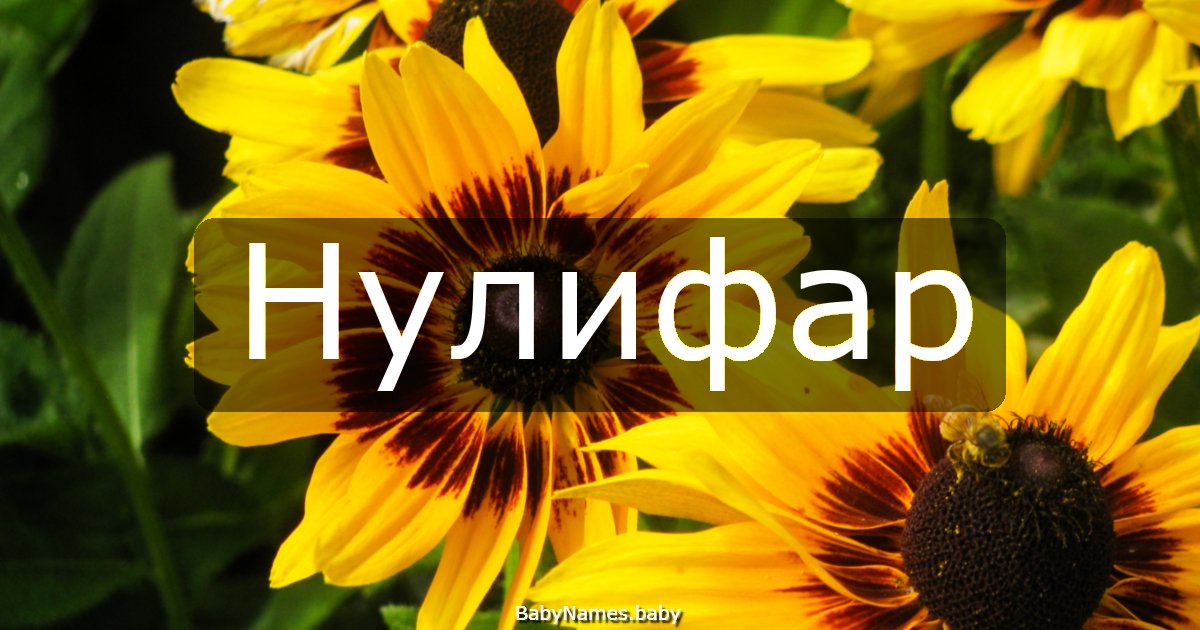 Нулифар