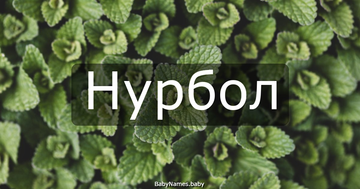 Нурбол
