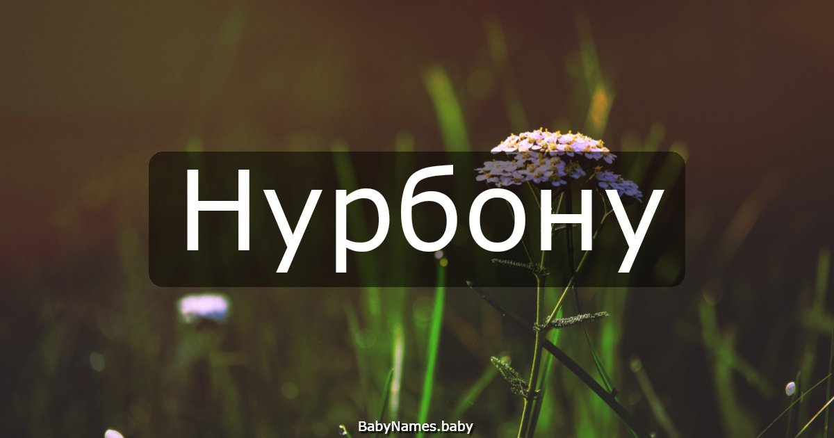 Нурбону
