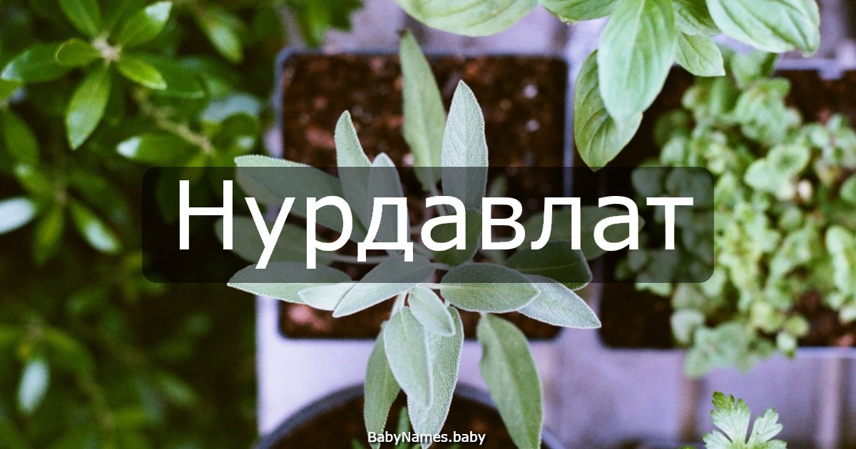 Нурдавлат