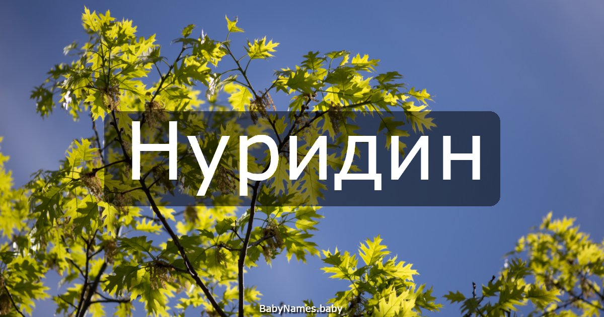 Нуридин