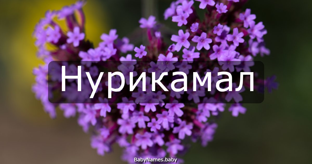 Нурикамал