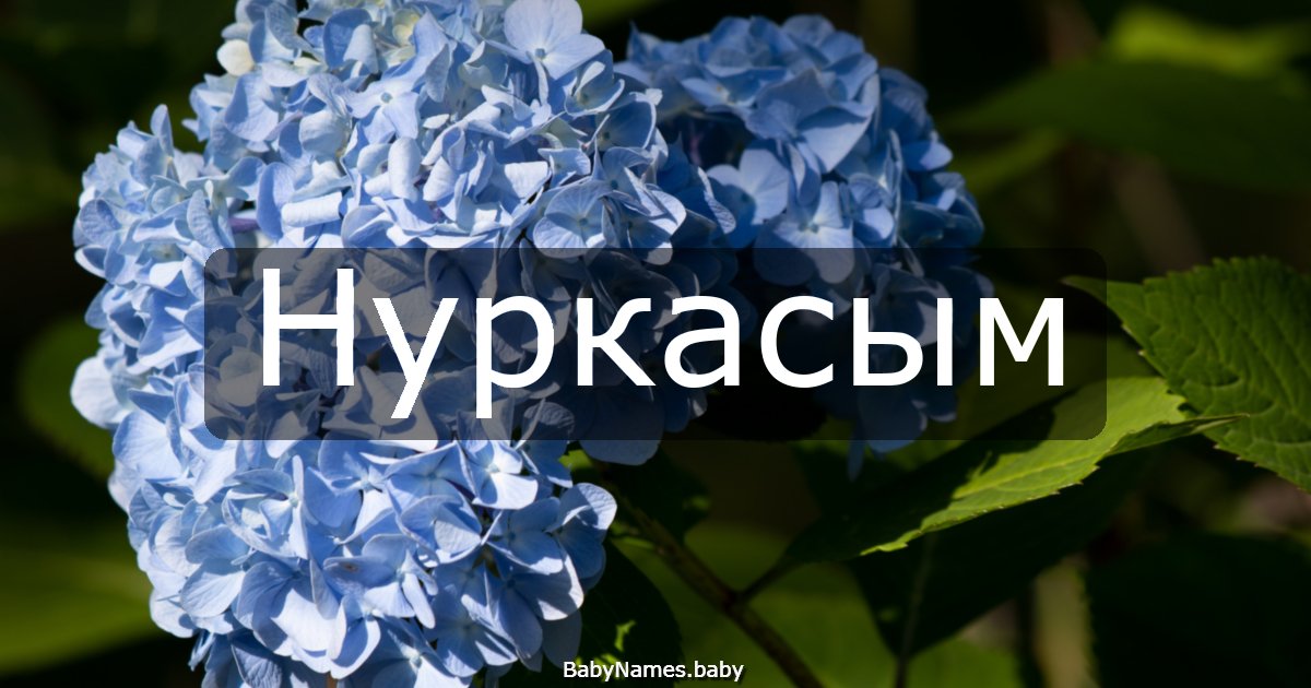 Нуркасым
