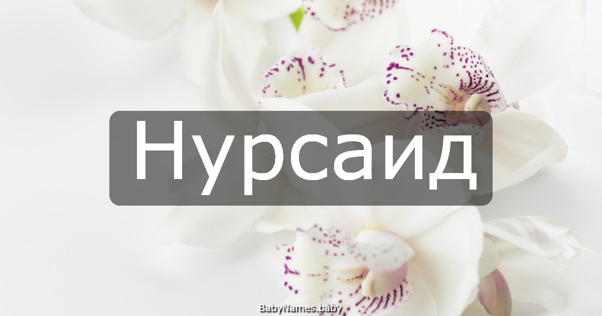 Нурсаид