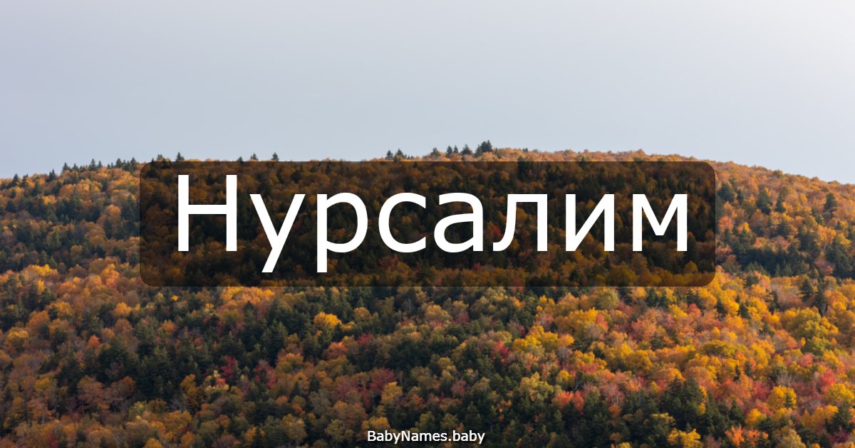 Нурсалим