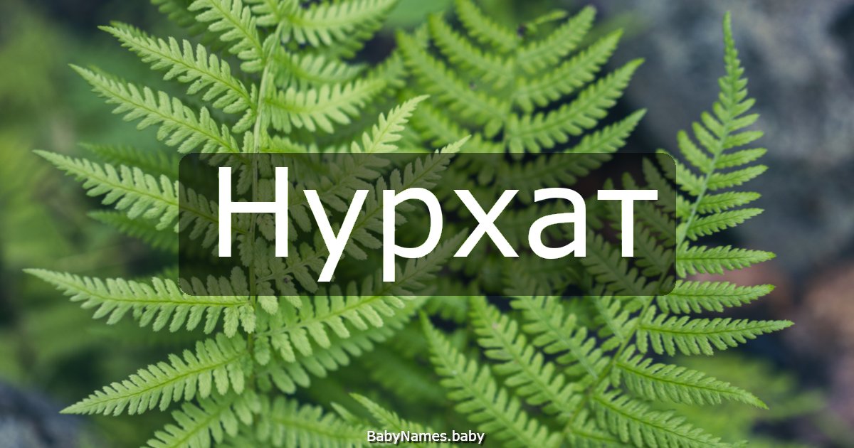 Нурхат