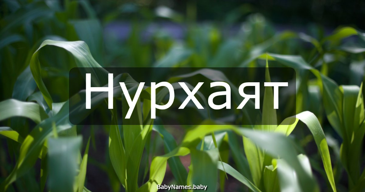 Нурхаят