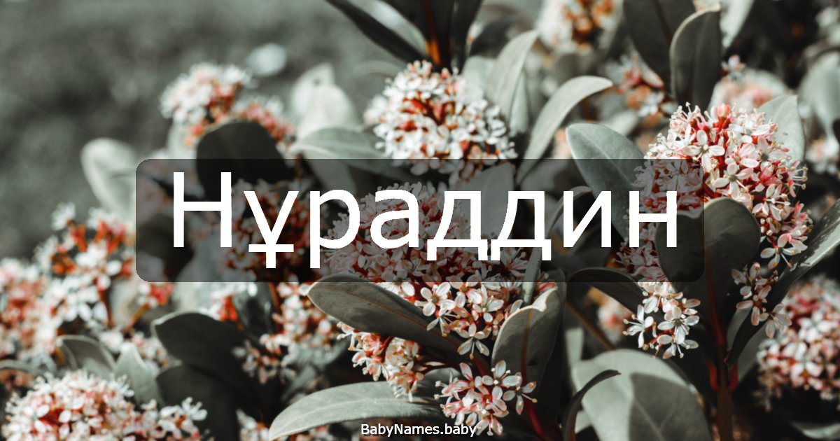 Нұраддин