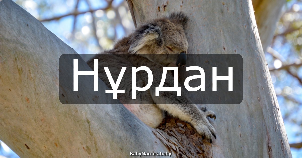 Нұрдан