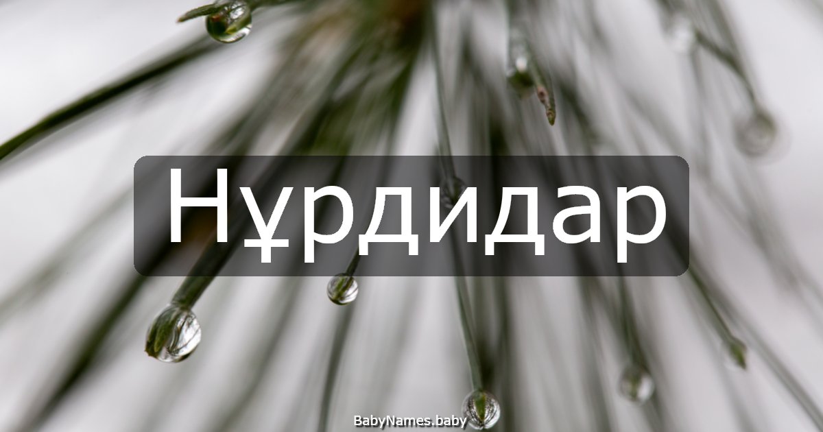 Нұрдидар
