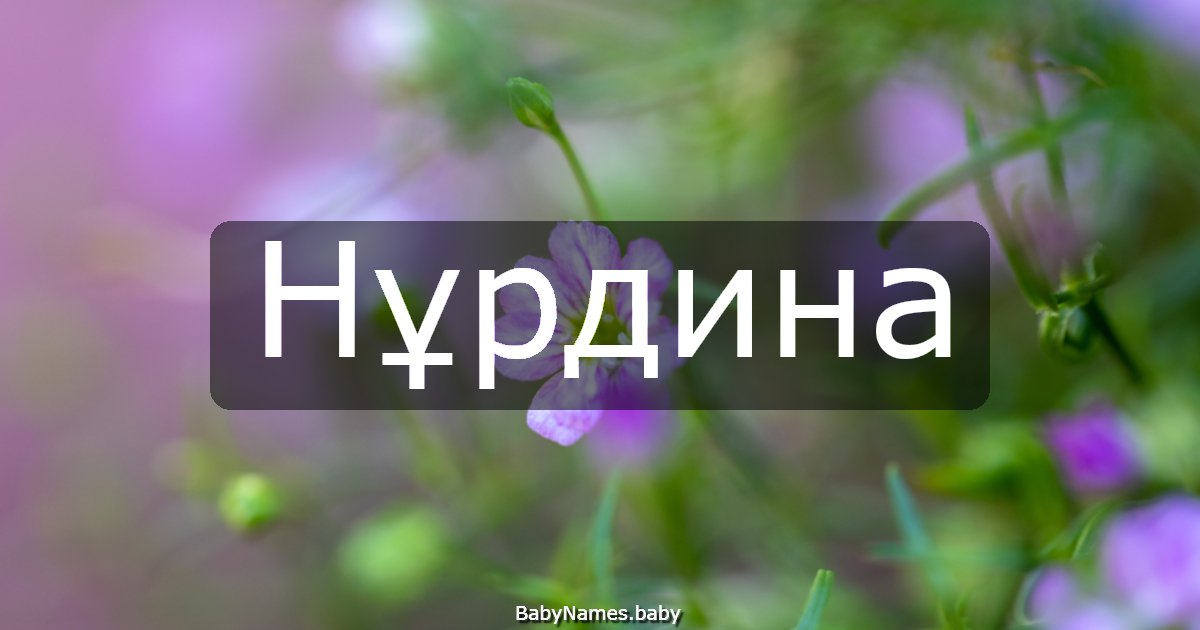 Нұрдина