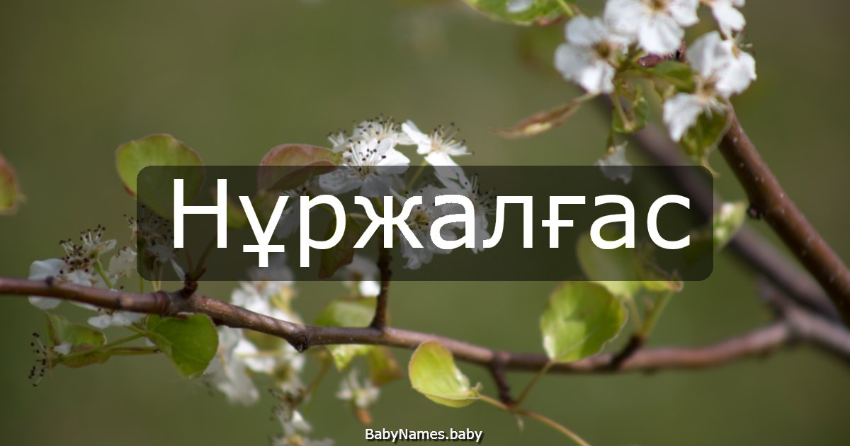 Нұржалғас