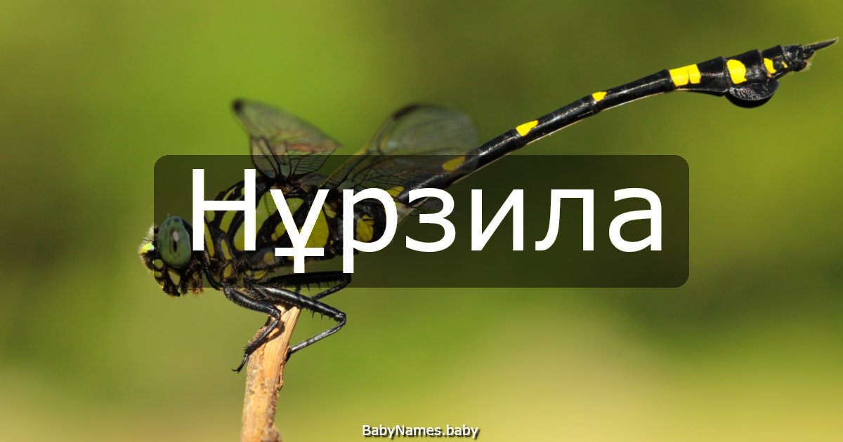 Нұрзила