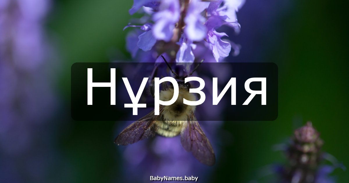 Нұрзия