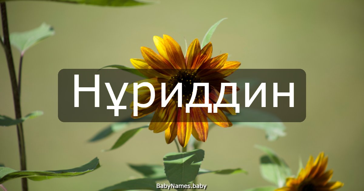 Нұриддин