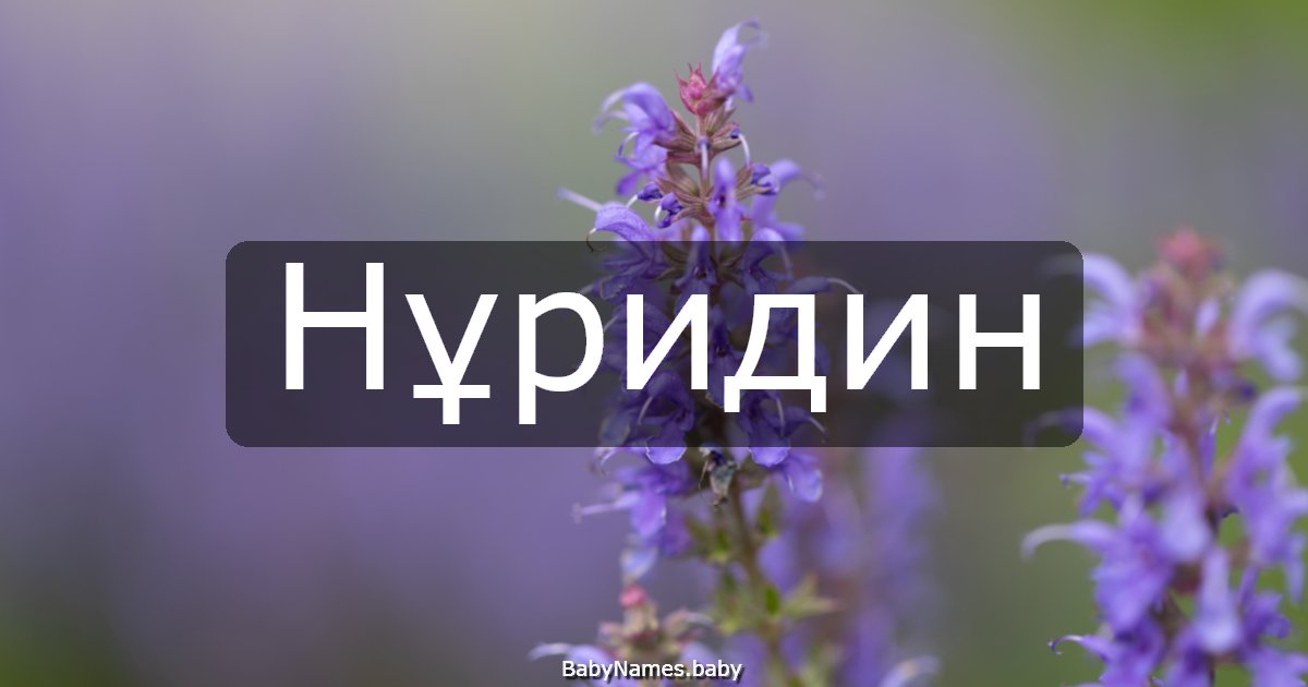 Нұридин