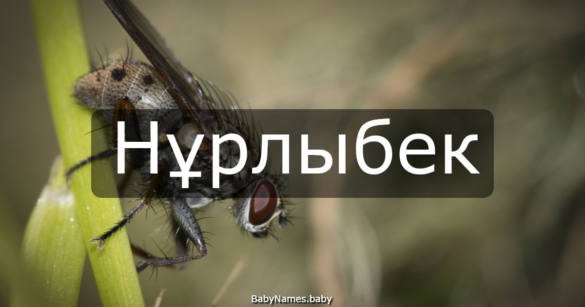 Нұрлыбек