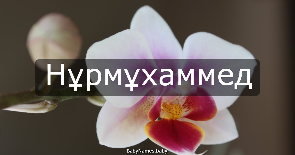 Нұрмұхаммед