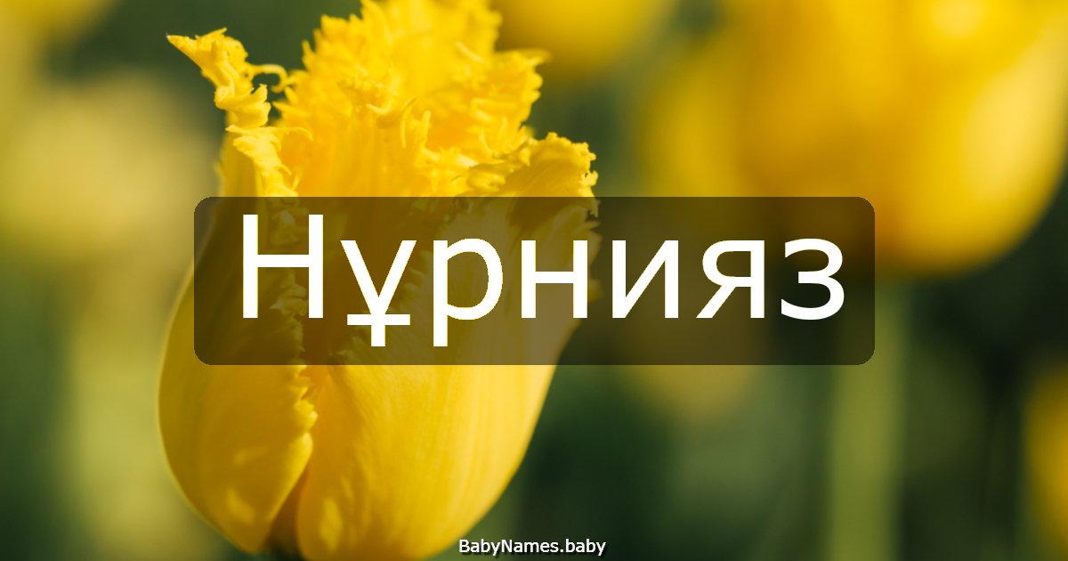 Нұрнияз