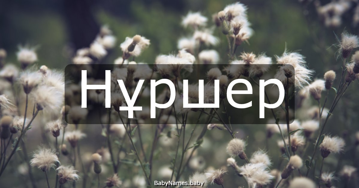Нұршер