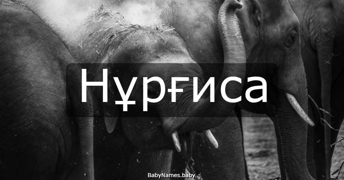 Нұрғиса