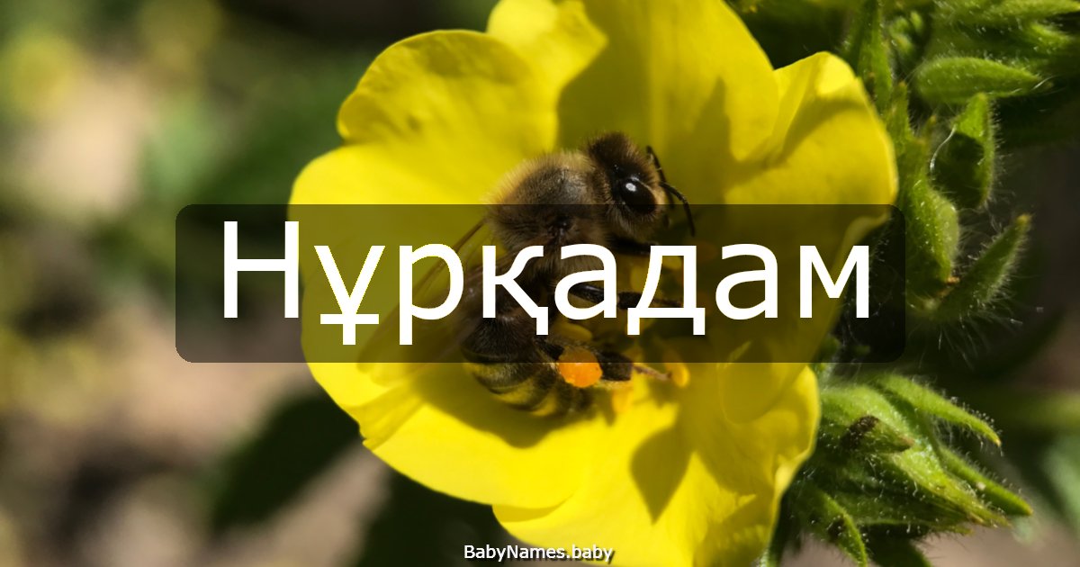 Нұрқадам