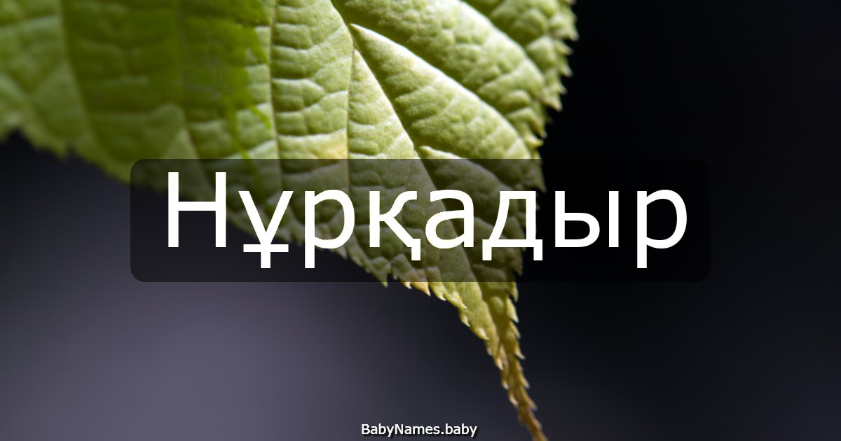 Нұрқадыр