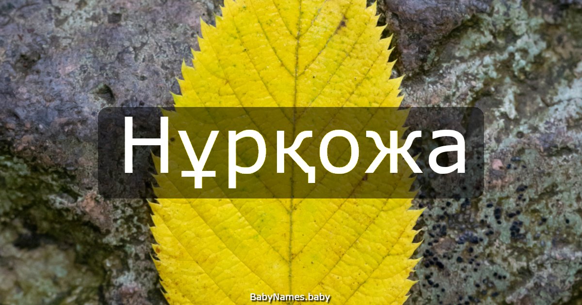 Нұрқожа