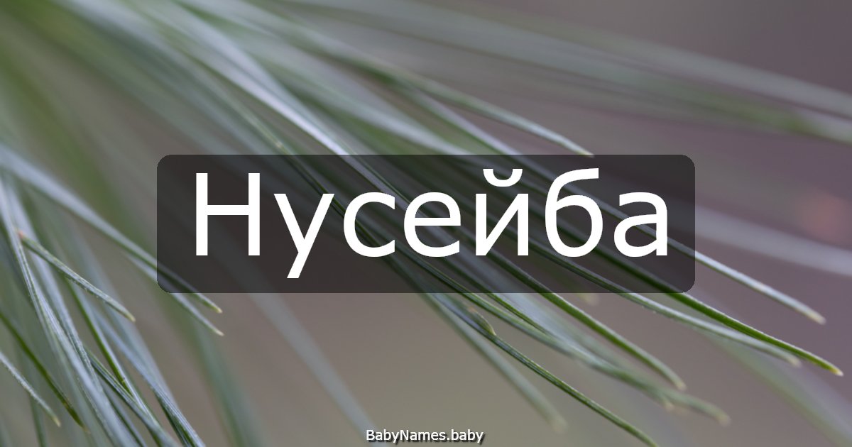 Нусейба