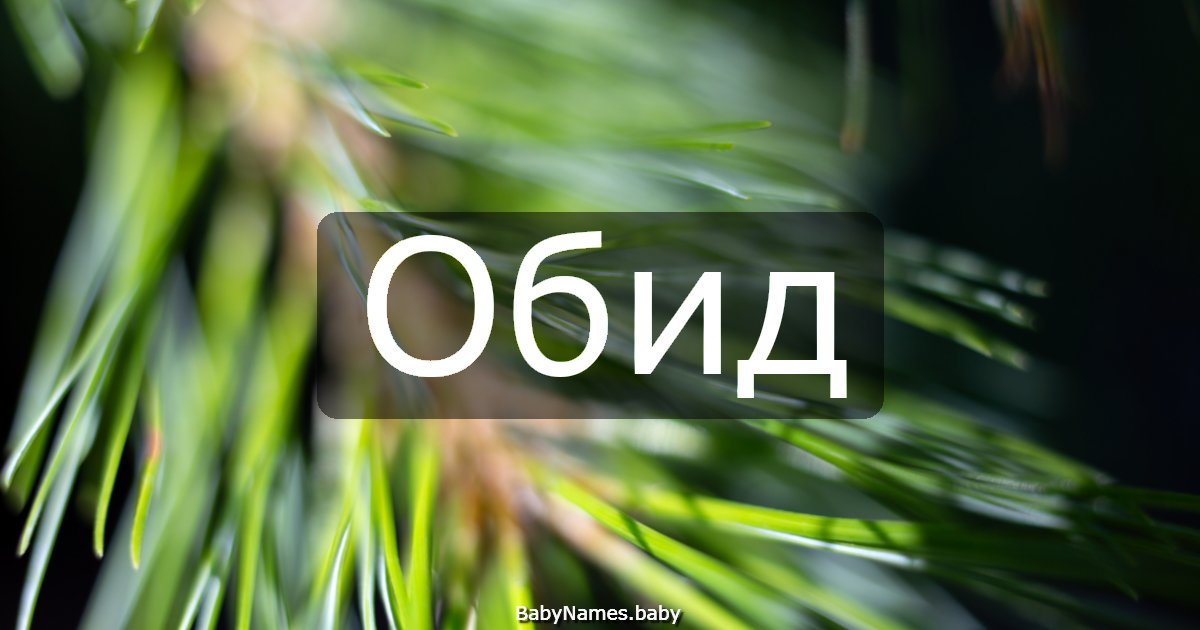 Обид