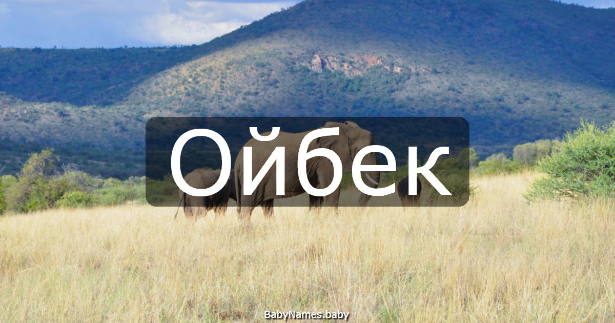 Ойбек